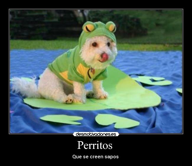 Perritos - Que se creen sapos