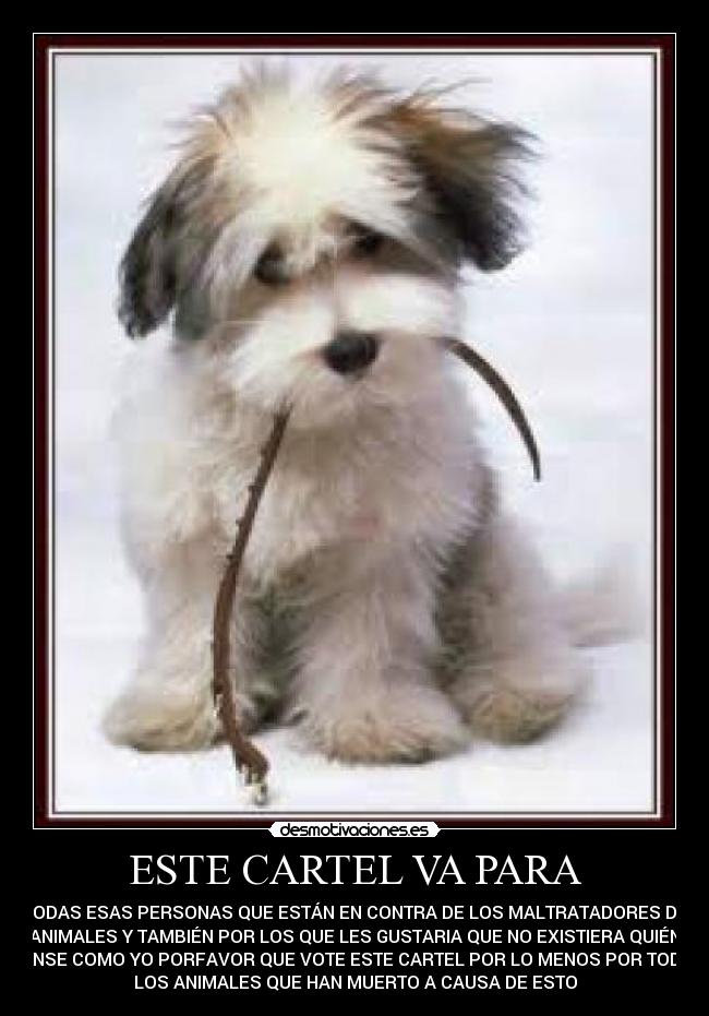 ESTE CARTEL VA PARA - 