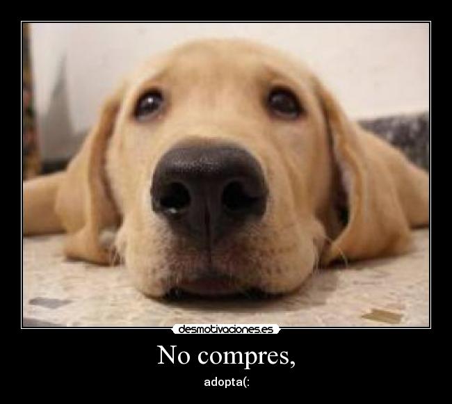 No compres, -