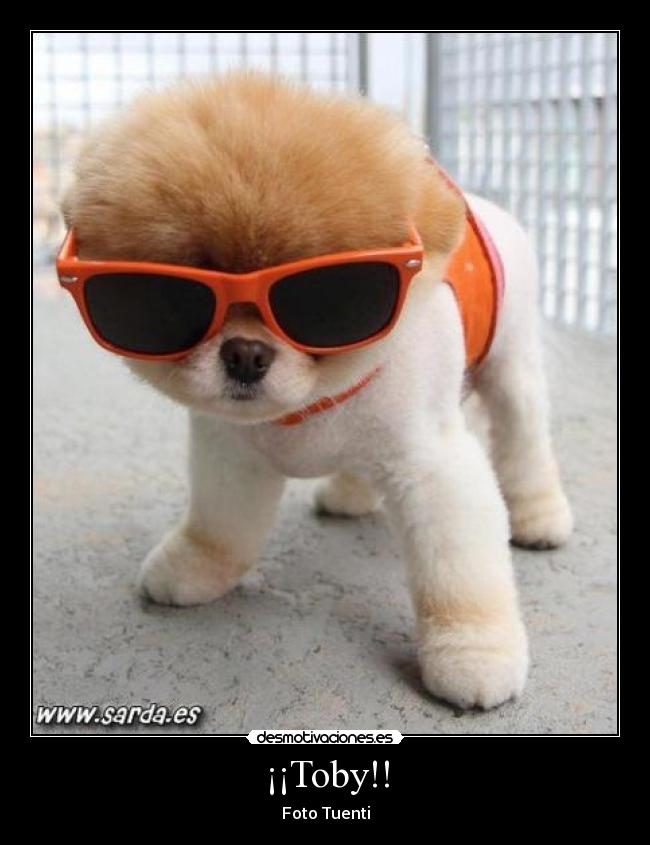 ¡¡Toby!! - Foto Tuenti