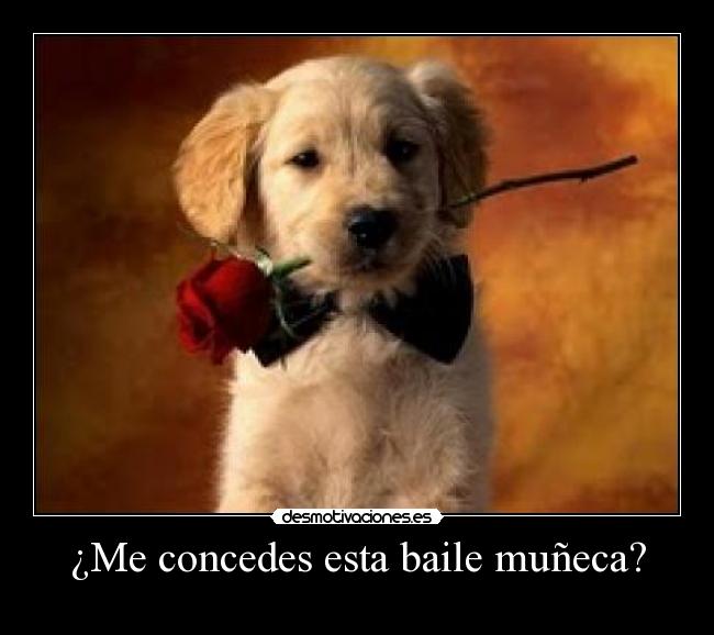 ¿Me concedes esta baile muñeca? - 