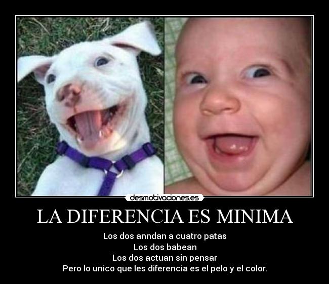 LA DIFERENCIA ES MINIMA -