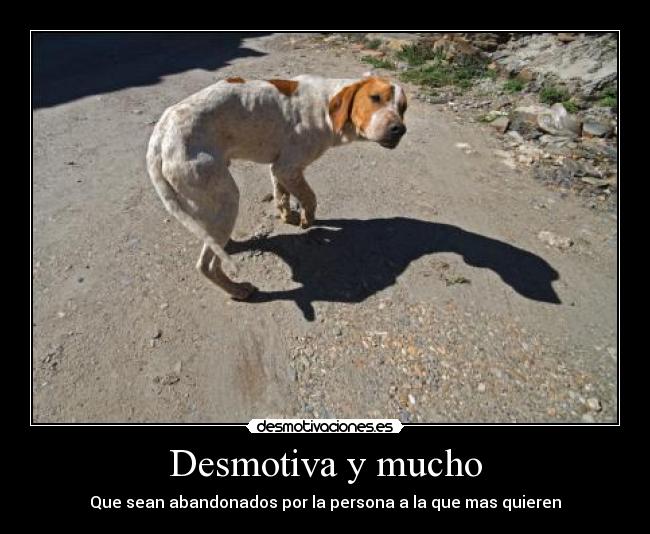 Desmotiva y mucho - Que sean abandonados por la persona a la que mas quieren