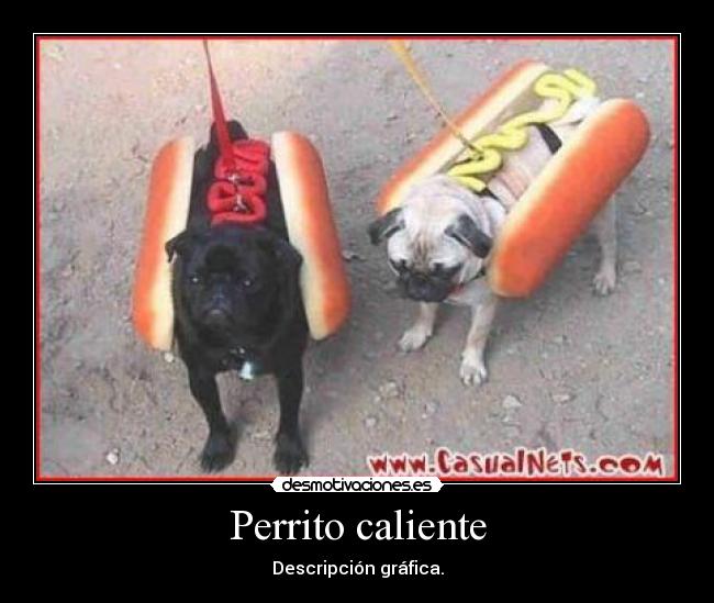 Perrito caliente - 