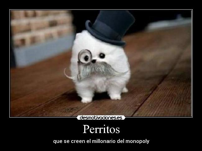 Perritos - 