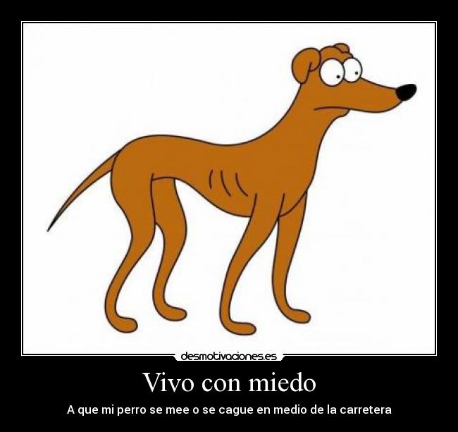 Vivo con miedo - A que mi perro se mee o se cague en medio de la carretera