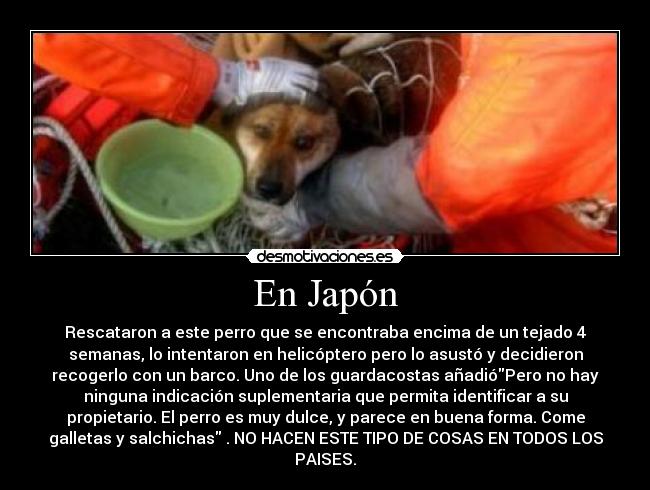 En Japón -