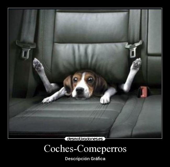 Coches-Comeperros - Descripción Gráfica