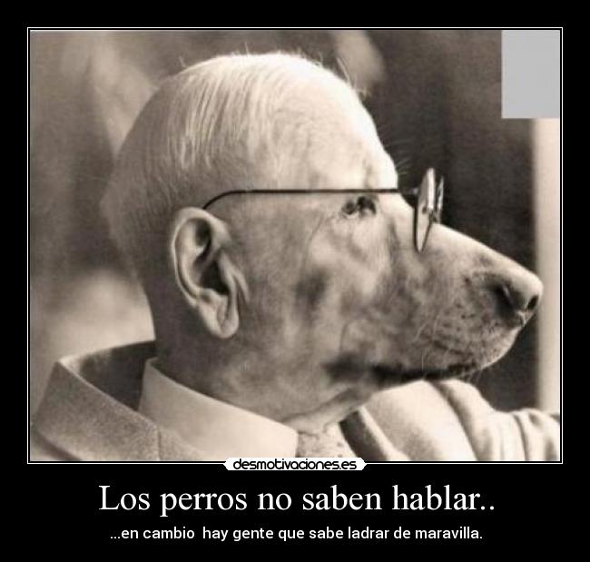 Los perros no saben hablar.. - ...en cambio  hay gente que sabe ladrar de maravilla.