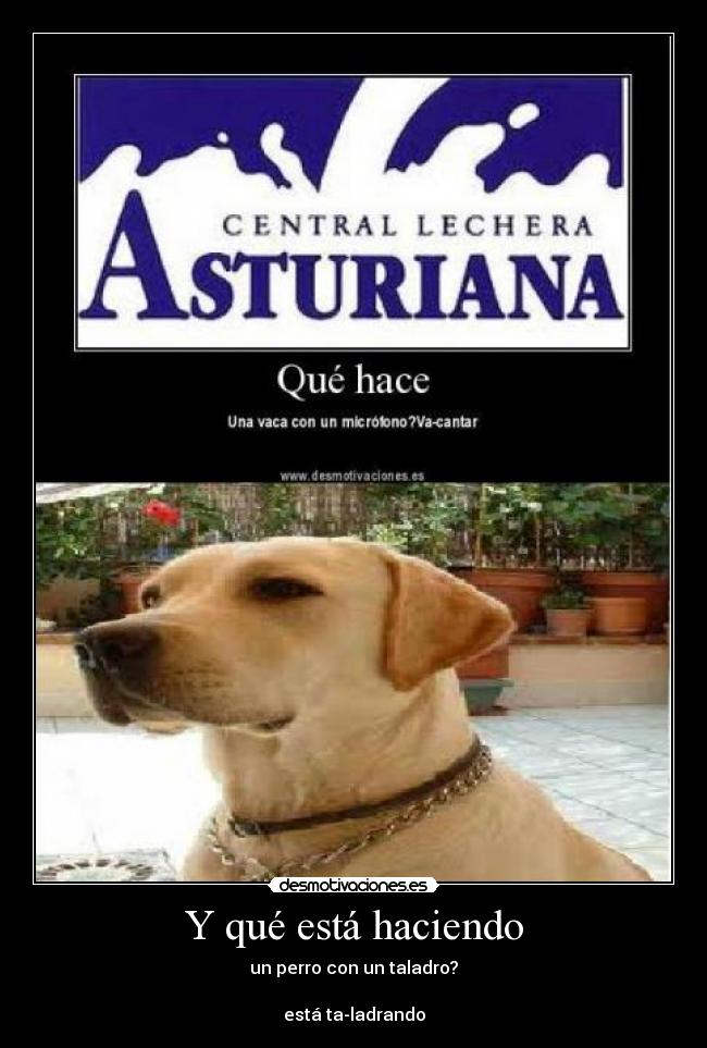 carteles stiwi99 desmotivaciones