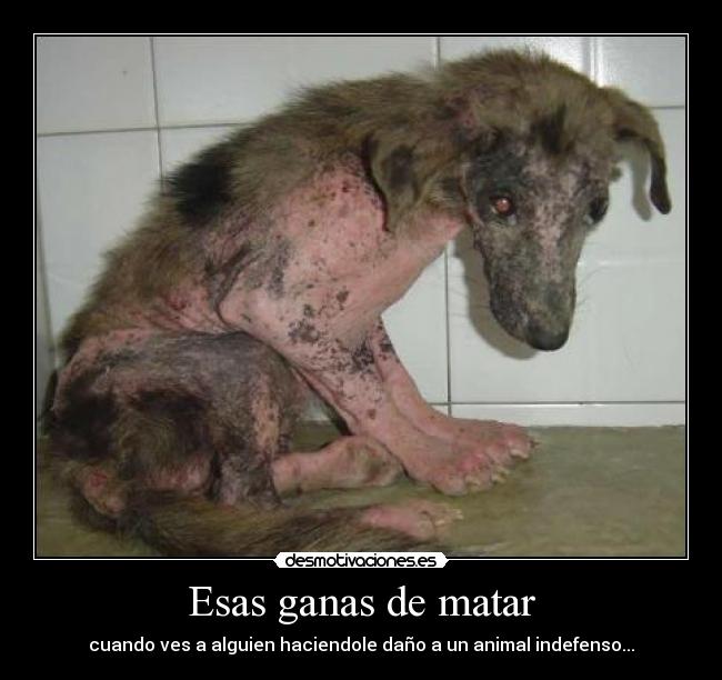 Esas ganas de matar - 