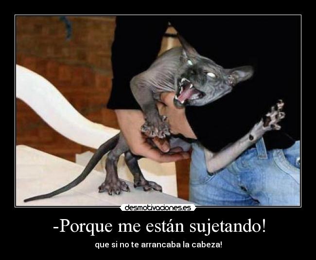 -Porque me están sujetando! - que si no te arrancaba la cabeza!