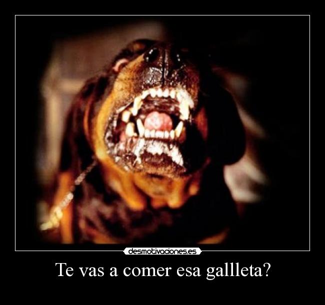 Te vas a comer esa gallleta? -