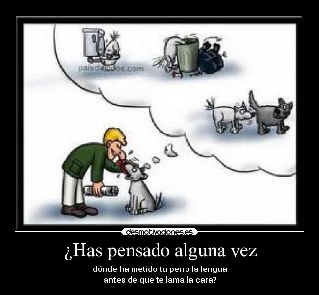 ¿Has pensado alguna vez - dónde ha metido tu perro la lengua
antes de que te lama la cara?