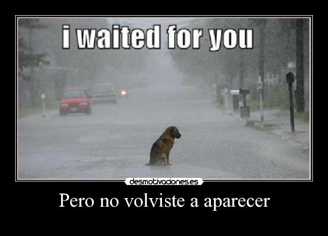 Pero no volviste a aparecer -