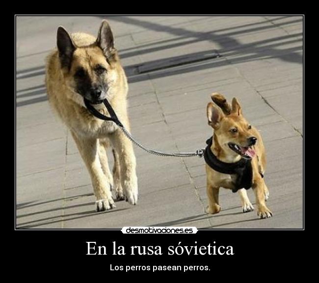 En la rusa sóvietica -