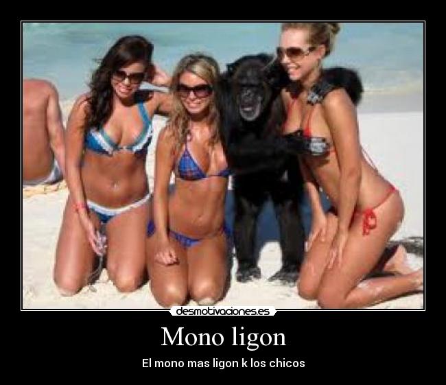 Mono ligon -