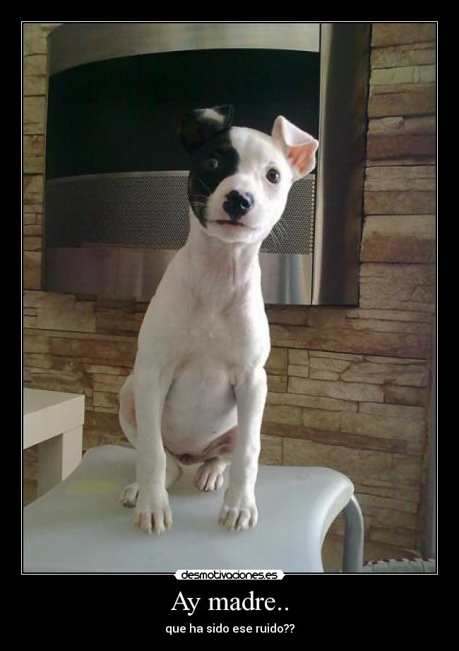 Ay madre.. - 