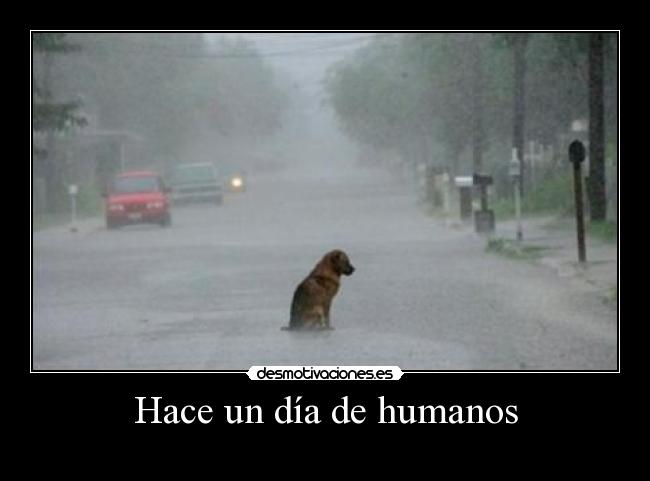 Hace un día de humanos - 