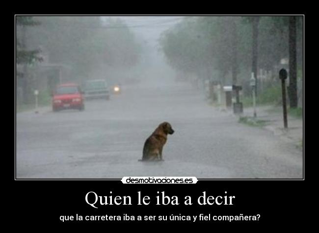 Quien le iba a decir -