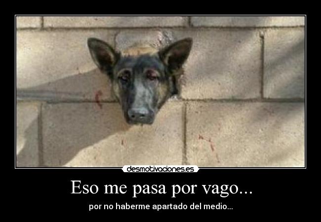 Eso me pasa por vago... -