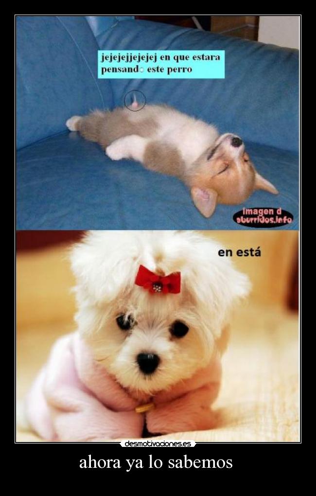 ahora ya lo sabemos -