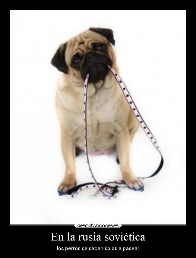 En la rusia soviética - 
