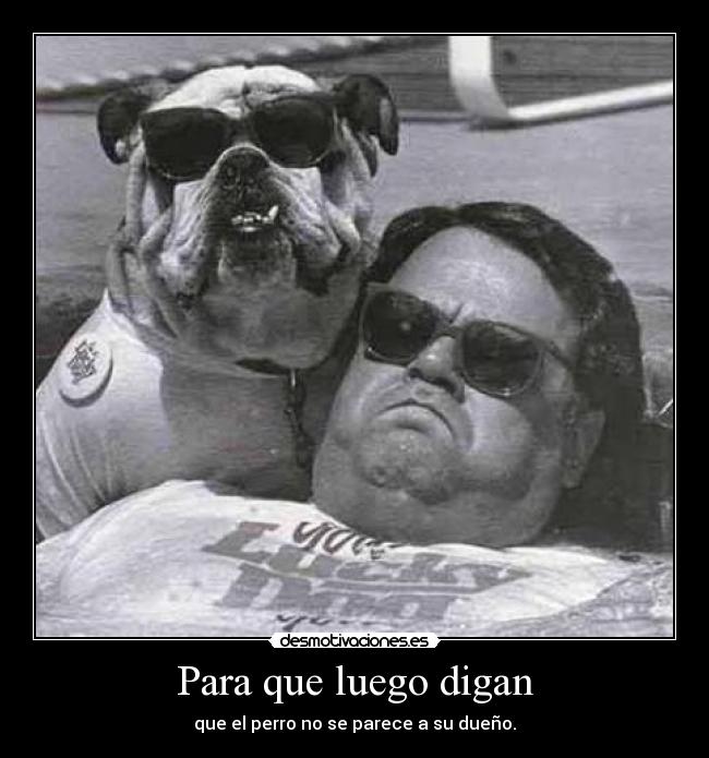 carteles para que luego digan desmotivaciones