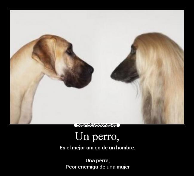 Un perro, - Es el mejor amigo de un hombre.
Una perra,
Peor enemiga de una mujer