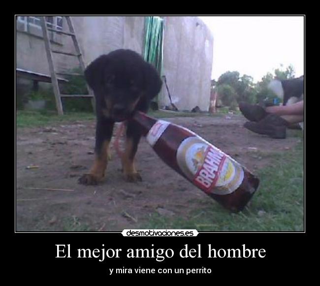 El mejor amigo del hombre -