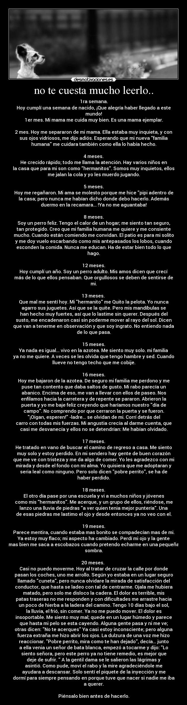 no te cuesta mucho leerlo.. -