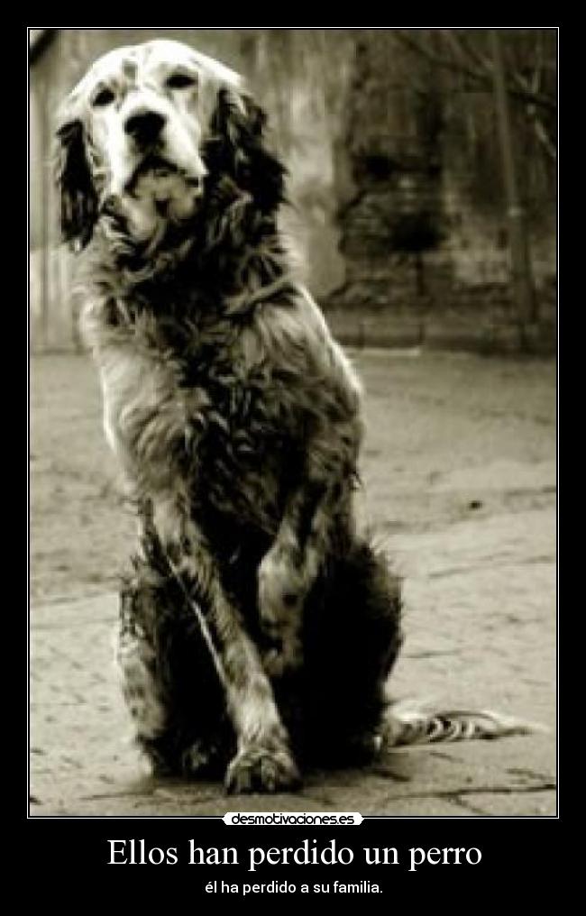 Ellos han perdido un perro - él ha perdido a su familia.