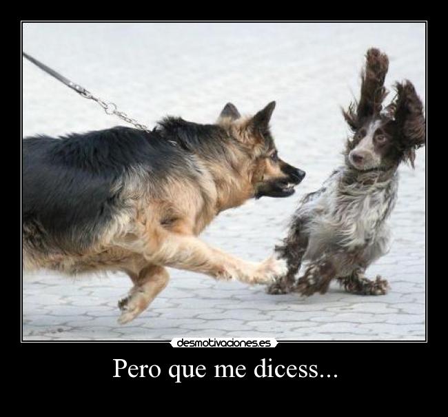 Pero que me dicess... - 