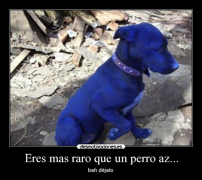 Eres mas raro que un perro az... - 