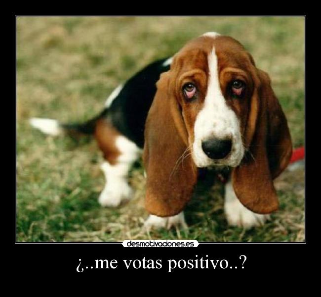 ¿..me votas positivo..? -