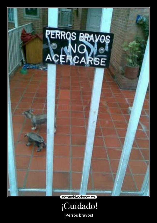 ¡Cuidado! - ¡Perros bravos!