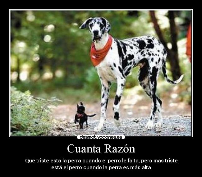 Cuanta Razón - Qué triste está la perra cuando el perro le falta, pero más triste
está el perro cuando la perra es más alta