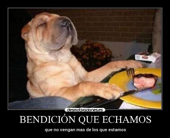 BENDICIÓN QUE ECHAMOS - que no vengan mas de los que estamos