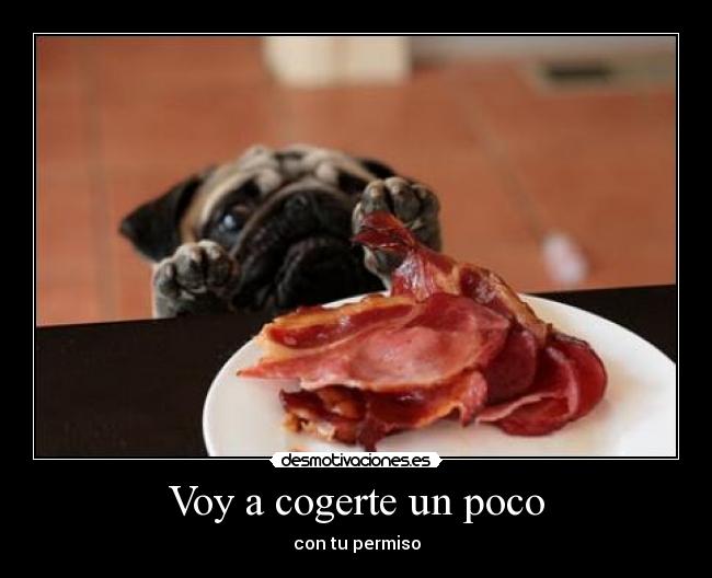 Voy a cogerte un poco - con tu permiso