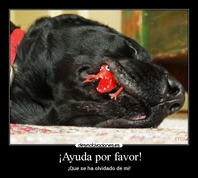 ¡Ayuda por favor! - ¡Que se ha olvidado de mi!