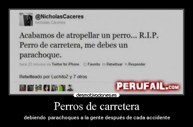 Perros de carretera - debiendo  parachoques a la gente después de cada accidente