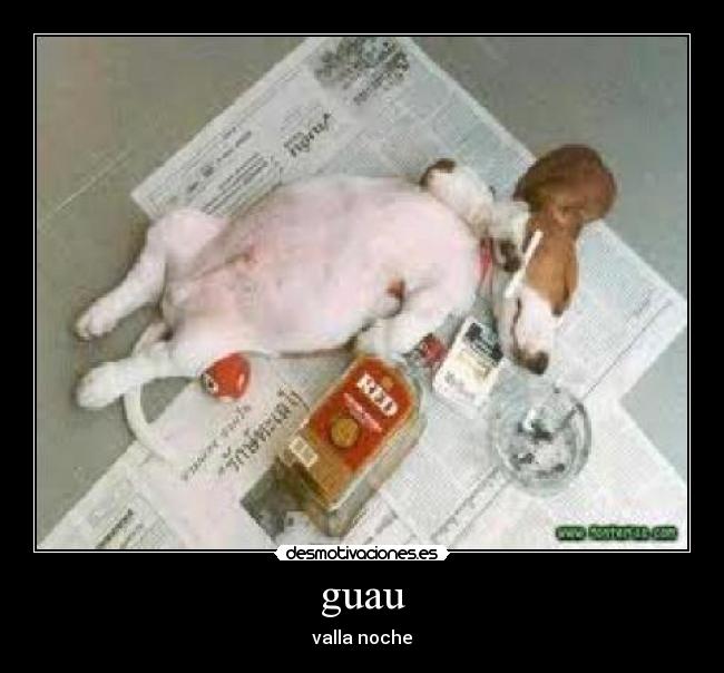 guau - valla noche