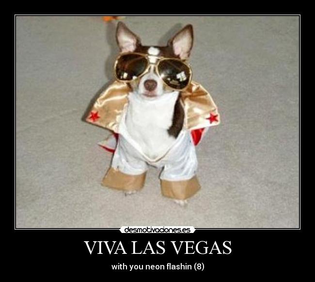 VIVA LAS VEGAS - with you neon flashin (8)