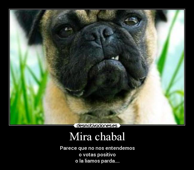 Mira chabal - Parece que no nos entendemos
o votas positivo
o la liamos parda....