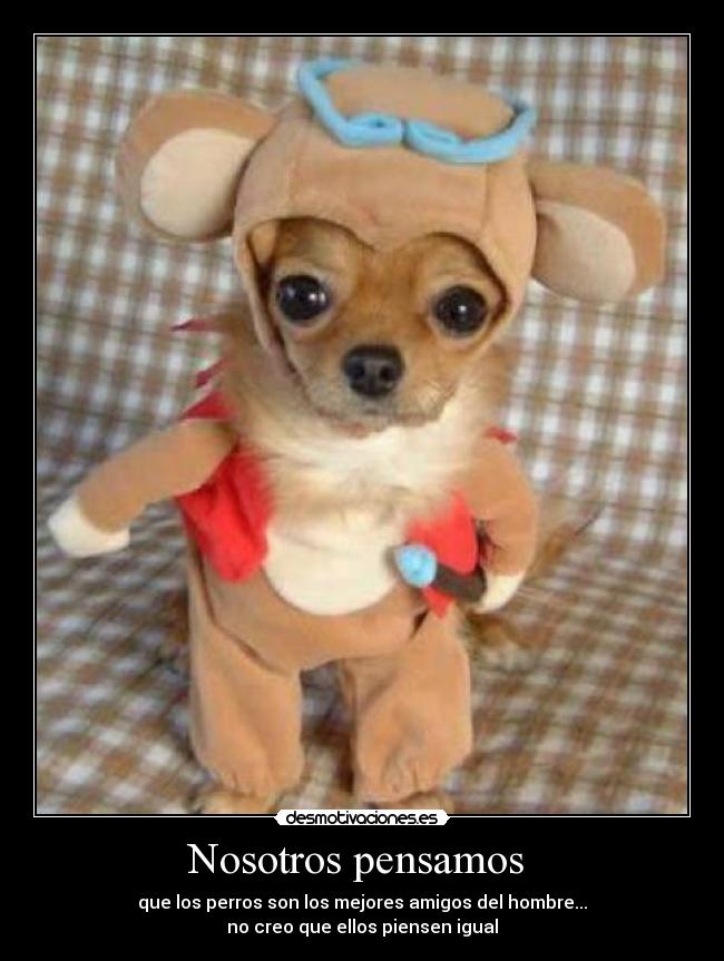 Nosotros pensamos - que los perros son los mejores amigos del hombre...
no creo que ellos piensen igual