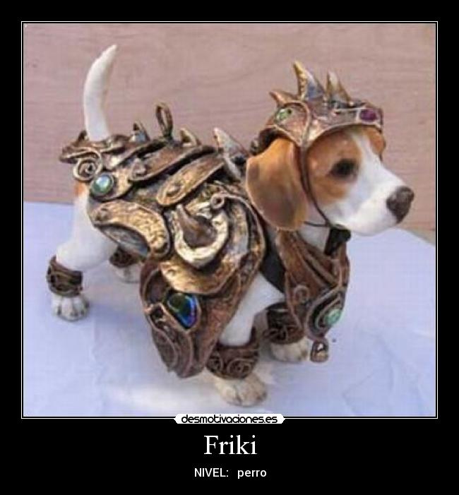 Friki - NIVEL: perro