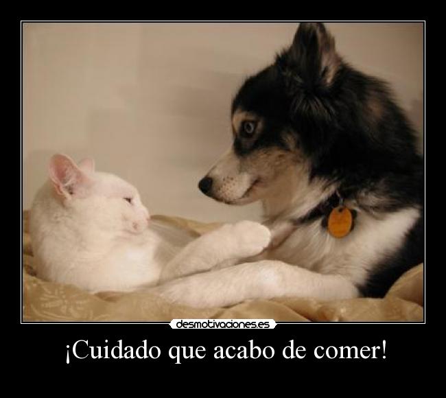¡Cuidado que acabo de comer! -