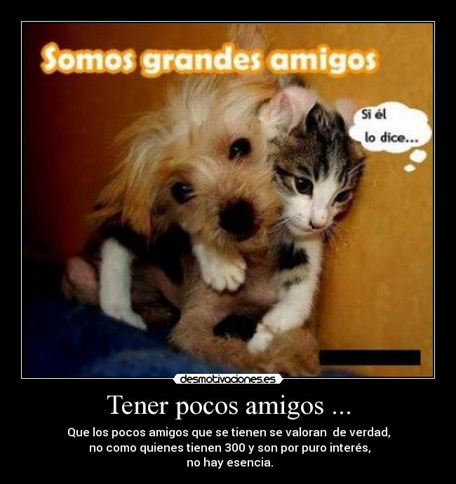 Tener pocos amigos ... - Que los pocos amigos que se tienen se valoran  de verdad,
 no como quienes tienen 300 y son por puro interés,
 no hay esencia.