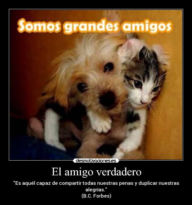 El amigo verdadero - Es aquél capaz de compartir todas nuestras penas y duplicar nuestras alegrías.
(B.C. Forbes)