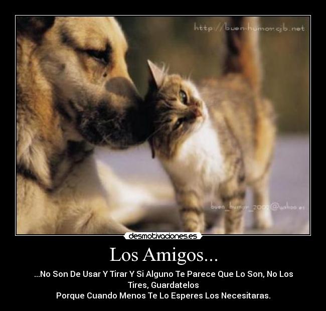 Los Amigos... -